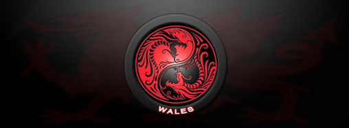 Welsh RedDragonLS Link